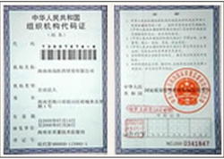 南岛公司组织机构代码证