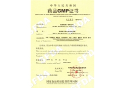 海南制药厂有限公司GMP证书