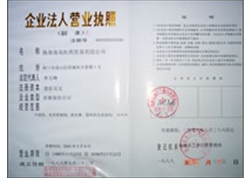 南岛公司营业执照